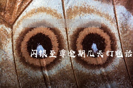闪银至尊逾期几天打电话 闪银至尊逾期几天打电话