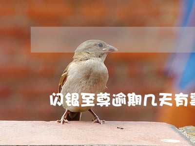 闪银至尊逾期几天有事 闪银至尊逾期几天有事