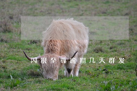 闪银至尊逾期几天群发 闪银至尊逾期几天群发