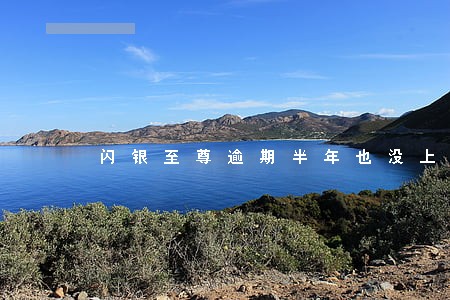 闪银至尊逾期半年也没上征信 闪银至尊逾期半年也没上征信