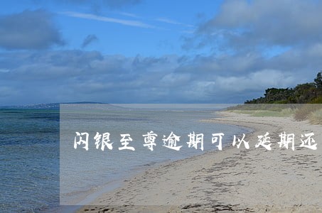 闪银至尊逾期可以延期还款吗 闪银至尊逾期可以延期还款吗