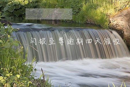 闪银至尊逾期四天催收 闪银至尊逾期四天催收