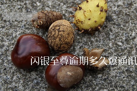 闪银至尊逾期多久爆通讯录 闪银至尊逾期多久爆通讯录