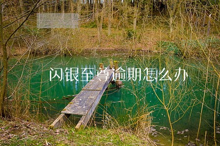 闪银至尊逾期怎么办 闪银至尊逾期怎么办