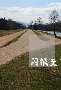 闪银至尊逾期第五天 闪银至尊逾期第五天