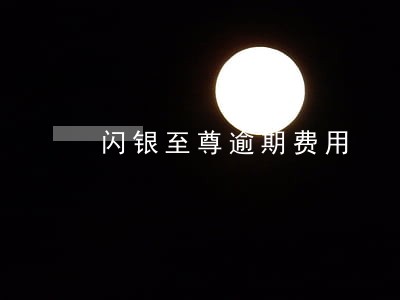 闪银至尊逾期费用 闪银至尊逾期费用