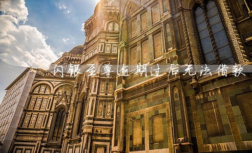 闪银至尊逾期过后无法借款 闪银至尊逾期过后无法借款