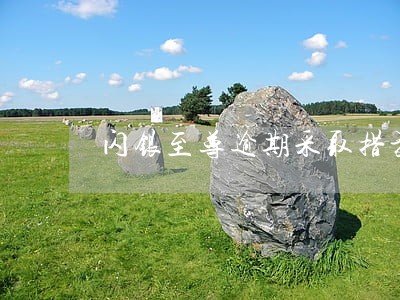 闪银至尊逾期采取措施 闪银至尊逾期采取措施