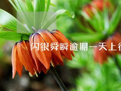 闪银舜瞬逾期一天上征信吗 闪银舜瞬逾期一天上征信吗