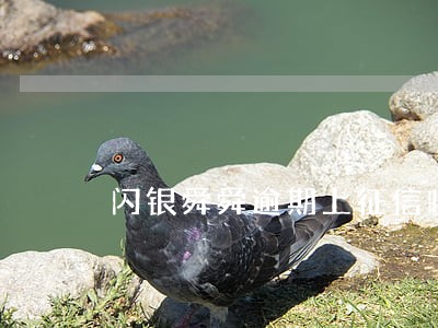 闪银舜舜逾期上征信吗 闪银舜舜逾期上征信吗