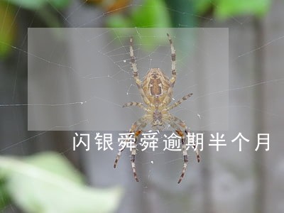 闪银舜舜逾期半个月 闪银舜舜逾期半个月