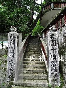闪银花花商城逾期了还可以借款吗 闪银花花商城逾期了还可以借款吗