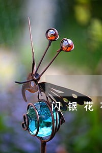 闪银花花逾期一个月 闪银花花逾期一个月