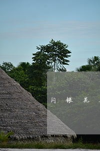 闪银花花逾期会上征信吗 闪银花花逾期会上征信吗