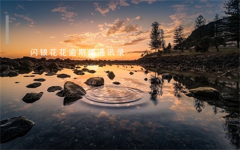 闪银花花逾期爆通讯录 闪银花花逾期爆通讯录