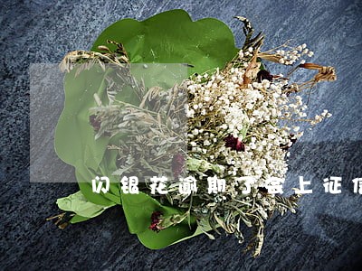 闪银花逾期了会上征信吗 闪银花逾期了会上征信吗