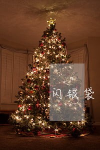 闪银袋逾期多少天 闪银袋逾期多少天