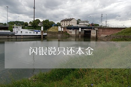 闪银说只还本金 闪银说只还本金