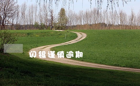 闪银谨慎逾期