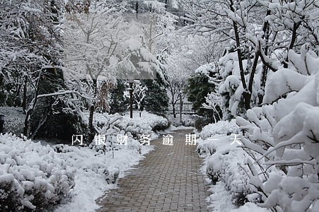 闪银财务逾期一天