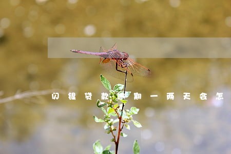 闪银贷款逾期一两天会怎么样 闪银贷款逾期一两天会怎么样