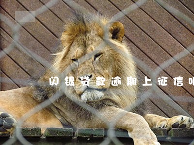 闪银贷款逾期上征信吧 闪银贷款逾期上征信吧