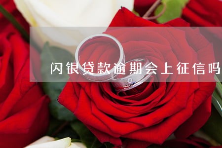 闪银贷款逾期会上征信吗 闪银贷款逾期会上征信吗