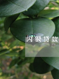 闪银贷款逾期会怎样 闪银贷款逾期会怎样