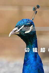 闪银超好贷逾期 闪银超好贷逾期