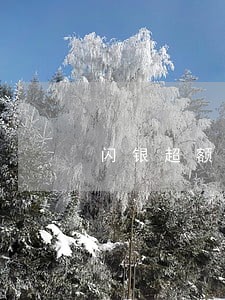 闪银超额贷逾期 闪银超额贷逾期