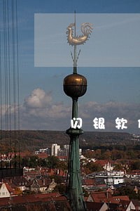 闪银软件借钱逾期 闪银软件借钱逾期