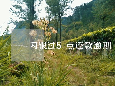 闪银过5点还款逾期 闪银过5点还款逾期