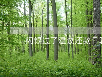 闪银过了建议还款日算逾期吗 闪银过了建议还款日算逾期吗