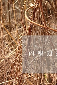 闪银过拖延期逾期一天 闪银过拖延期逾期一天