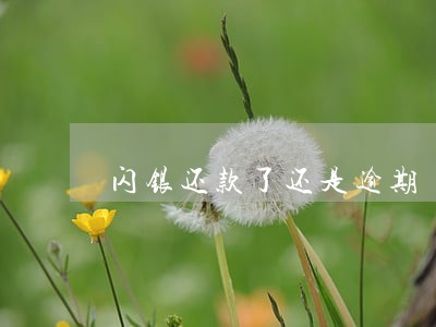 闪银还款了还是逾期 闪银还款了还是逾期