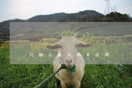 闪银还款后账单逾期 闪银还款后账单逾期