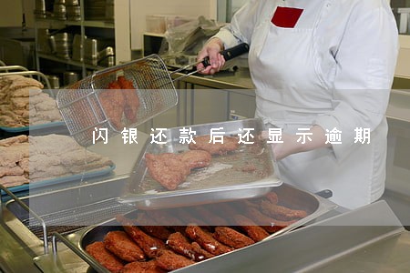 闪银还款后还显示逾期 闪银还款后还显示逾期