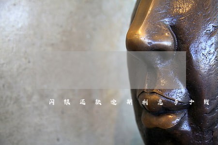 闪银还款逾期利息多少钱 闪银还款逾期利息多少钱