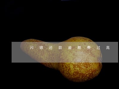 闪银还款逾期费过高 闪银还款逾期费过高