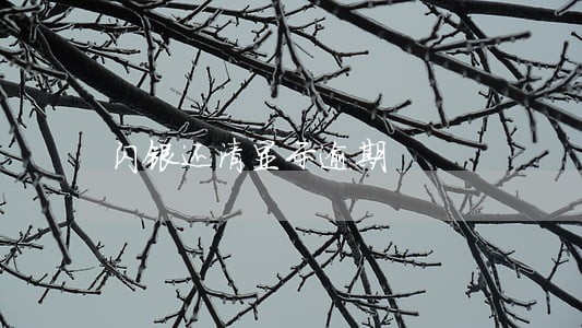 闪银还清显示逾期 闪银还清显示逾期