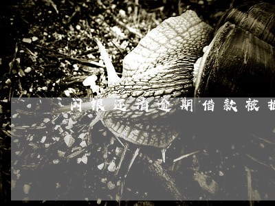 闪银还清逾期借款被拒 闪银还清逾期借款被拒