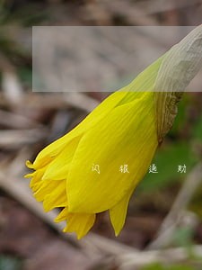 闪银通财逾期30天了 闪银通财逾期30天了