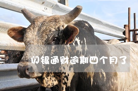 闪银通财逾期四个月了 闪银通财逾期四个月了