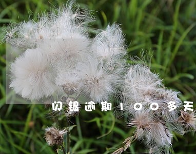 闪银逾期100多天 闪银逾期100多天