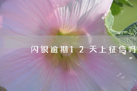 闪银逾期12天上征信吗 闪银逾期12天上征信吗