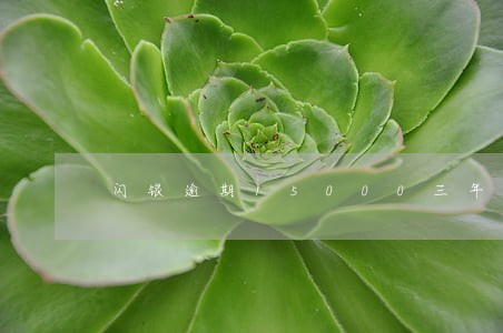 闪银逾期15000三年