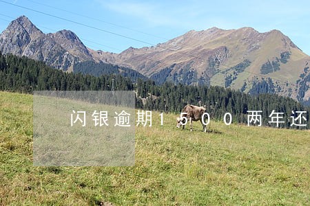 闪银逾期1500两年还多少