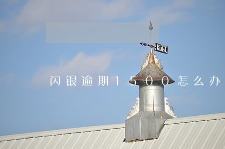 闪银逾期1500怎么办 闪银逾期1500怎么办