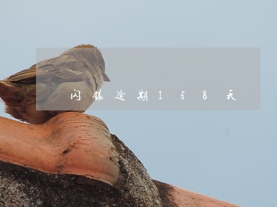 闪银逾期158天 闪银逾期158天