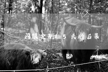 闪银逾期15天的后果 闪银逾期15天的后果